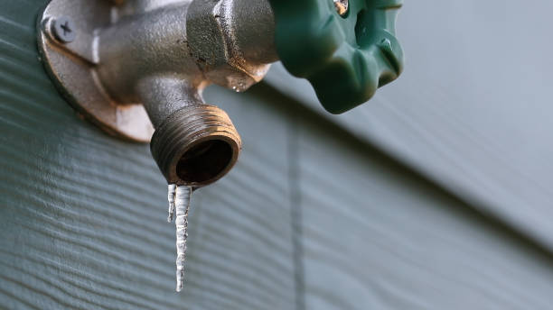 Best Same-Day Plumbing Service  in Fritch, TX